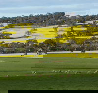 Fini Olives - Tourism Gold Coast