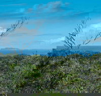 Forest Walking Track Crowdy Bay National Park - Tourism Gold Coast
