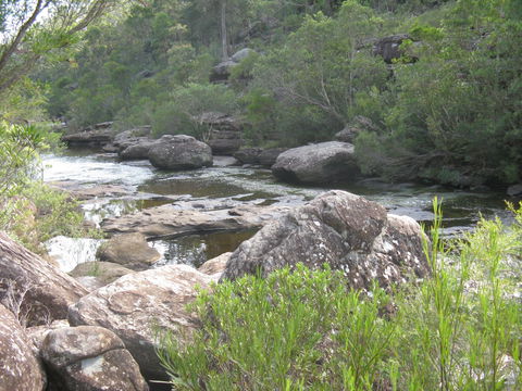 Georges River Nature Reserve - Tourism Gold Coast 1
