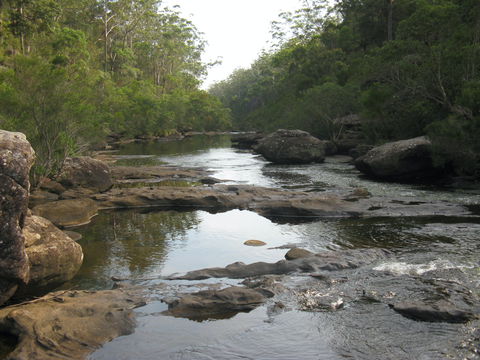 Georges River Nature Reserve - Tourism Gold Coast 2