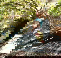 Haig Street Quarry Bushland Reserve Trails - Tourism Gold Coast