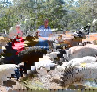 Haigslea EWE Nique Hobby Farm - Tourism Gold Coast