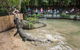 Hartley's Crocodile Adventures - thumb 0