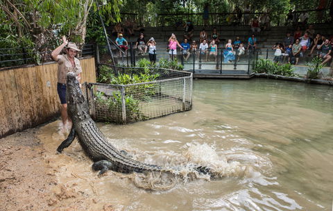 Hartley's Crocodile Adventures - Tourism Gold Coast 0