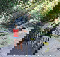 Josephine Falls walking track Wooroonooran National Park - Tourism Gold Coast