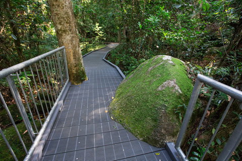 Josephine Falls Walking Track, Wooroonooran National Park - Tourism Gold Coast 2