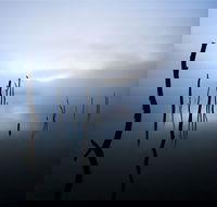 Jounama Creek Walking Track - Tourism Gold Coast