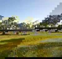 Katherine Railway Trestle Bridge - Tourism Gold Coast