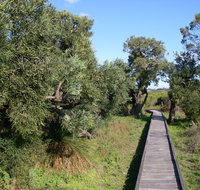 Kepwari Trails Wetland Wonderland - Tourism Gold Coast