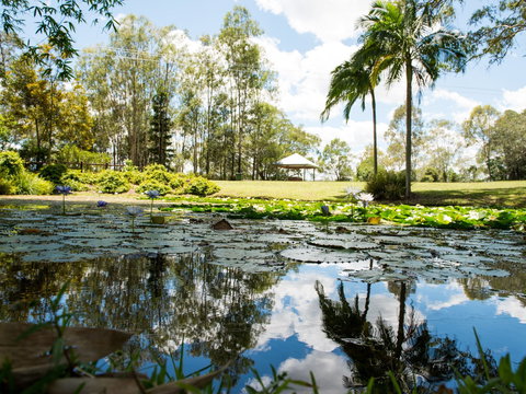 Kholo Gardens - Tourism Gold Coast 1