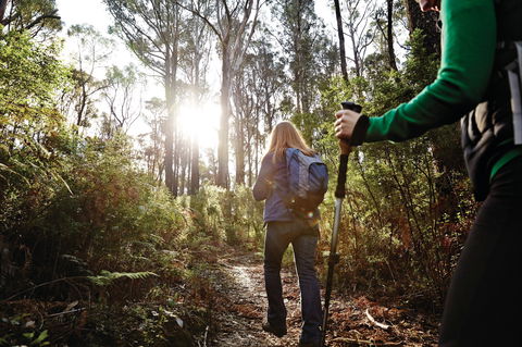 Kinglake National Park - Gold Coast 0