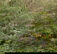 Lind National Park - Tourism Gold Coast