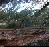 Long Lead Picnic Area and Campground - Tourism Gold Coast