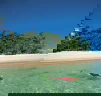 Low Isles - Tourism Gold Coast