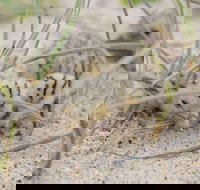 Manning Entrance State Park - Gold Coast