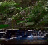 Millards Creek Walk and Cycleway - Tourism Gold Coast
