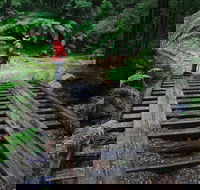 Montezuma Falls - Tourism Gold Coast