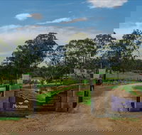 Moorebank Vineyard - Tourism Gold Coast