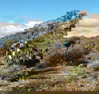 Mount Exmouth walking track - Tourism Gold Coast