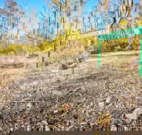 Mt Glenrowan Lookout Walk - Tourism Gold Coast