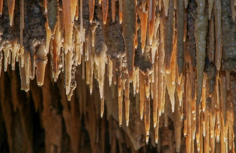 Mulwaree Cave - Gold Coast 0