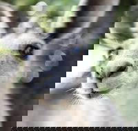 Mungallala - Tourism Gold Coast