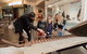 Museum Of The Riverina Botanic Gardens Site - thumb 0