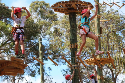 Next Level Monkey Business - Tourism Gold Coast 0