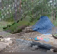 Northbrook Mountain Bush Camp - Gold Coast