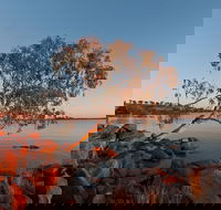 Peery Lake - Tourism Gold Coast