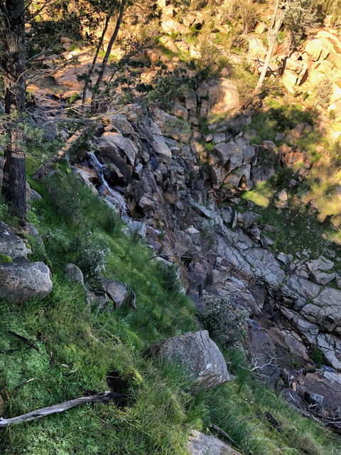 Pine Gully Nature Trail - Gold Coast 0