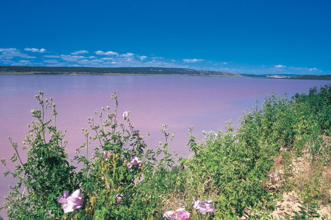 Port Gregory - Tourism Gold Coast 0