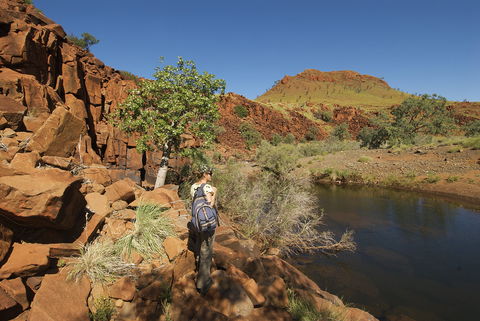 Rail Access Roads - Pilbara - Tourism Gold Coast 1