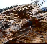 Rock Climbing in Morialta - Tourism Gold Coast