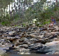 Rocksberg Park Heritage Reserve - Tourism Gold Coast