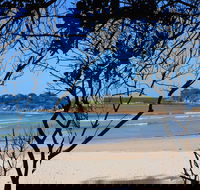Sandon Beach - Gold Coast