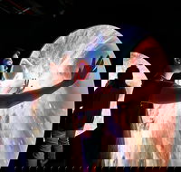 Scienceworks - Tourism Gold Coast