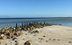 Simms Cove Lookout And Beach, Moonta Bay - thumb 2