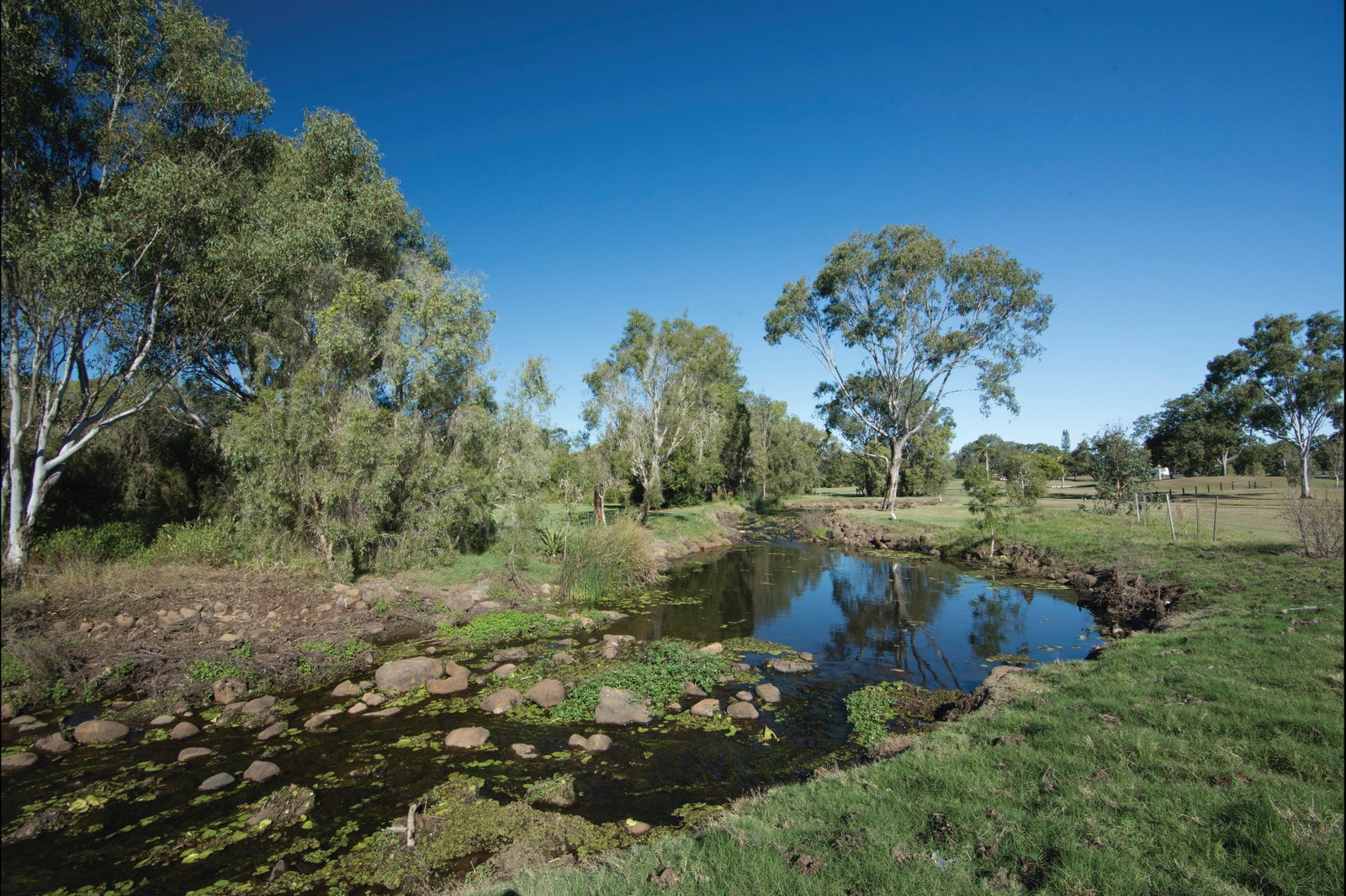 Svensson Heights QLD Tourism Gold Coast