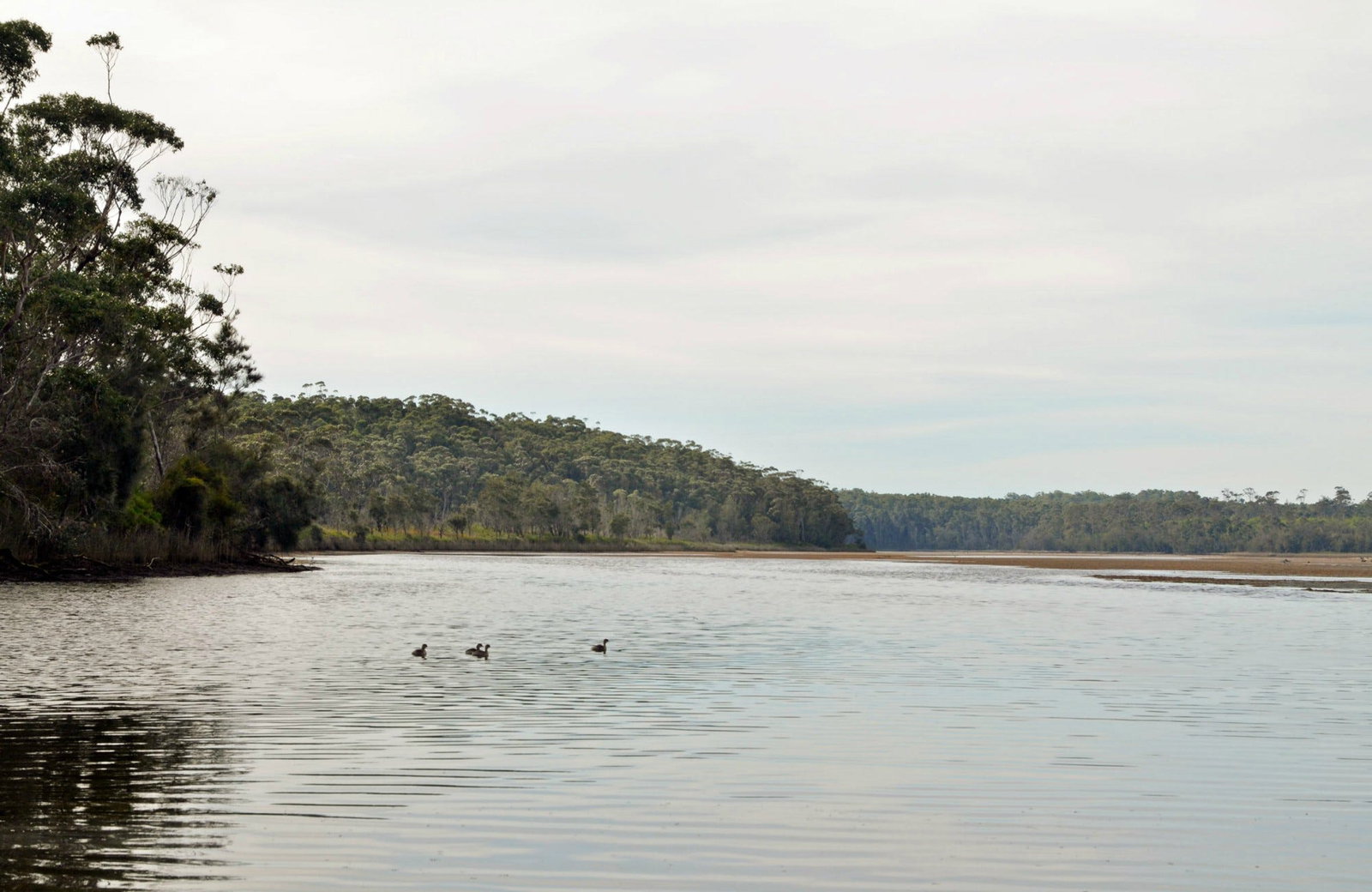 Lake Tabourie NSW Tourism Gold Coast