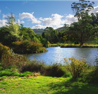 Tasmanian Arboretum Inc. - The - Tourism Gold Coast