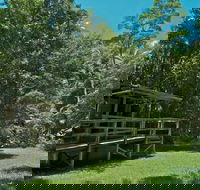 Terania Creek Picnic Area - Tourism Gold Coast