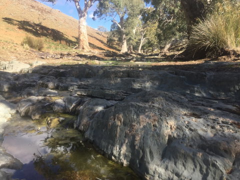 Three Creeks Station -Arkaroona Creek Walk - Tourism Gold Coast 0