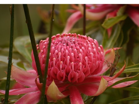 Vortex Healing Centre - Tourism Gold Coast 2