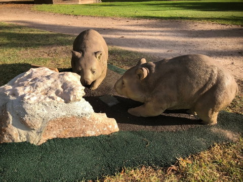 Wombat Statues, Moonta - Tourism Gold Coast 0