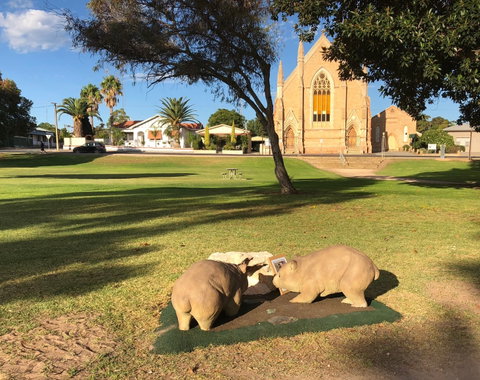 Wombat Statues, Moonta - Tourism Gold Coast 2