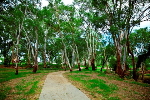 Adungadoo Pathway - Tourism Gold Coast 0