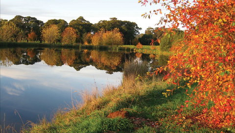 Alpine - Tourism Gold Coast 0