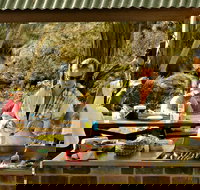 Apsley Falls Picnic Area - Tourism Gold Coast