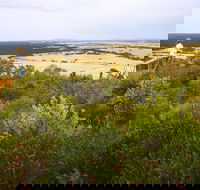 Archer Drive Scenic Drive and Lookout - Tourism Gold Coast